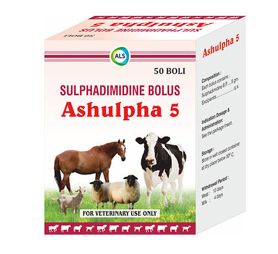 Ashulpha S Bolus