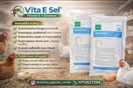 Vithealth ESEL 250ml