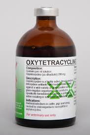 Oxtet 10% 100mls