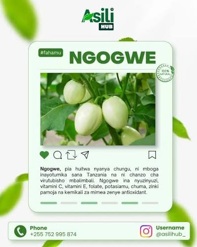 Nyanya Chungu 10G