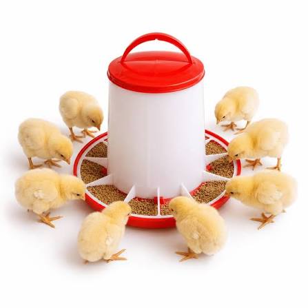 Feeder 3kg