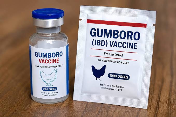 gumboro 200dc