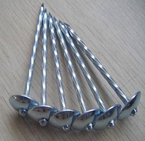 ROOFING NAILS