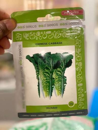 Chinese Cabbage 10G