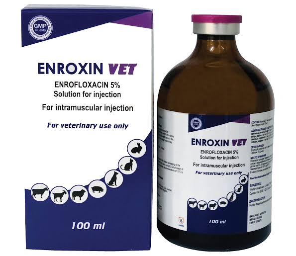 Enroxin -100ml