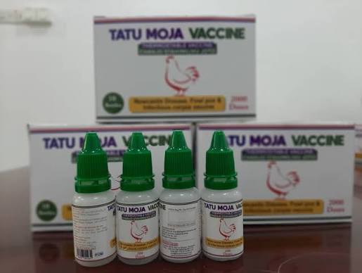 Tatu Moja
